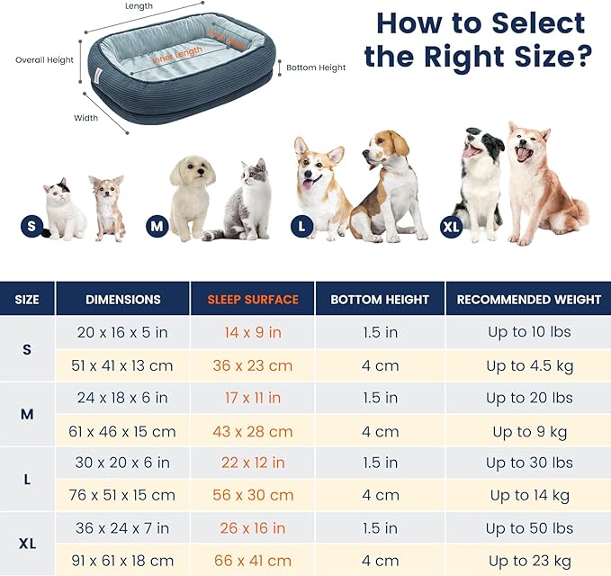 Orthopedic Cat Beds for Indoor Cats, Egg-Crate Memory Foam Pet Sofa with Bolster Sides, Oval Crate Bed, Washable Removable Cover & Non-Slip Bottom, Haze Blue