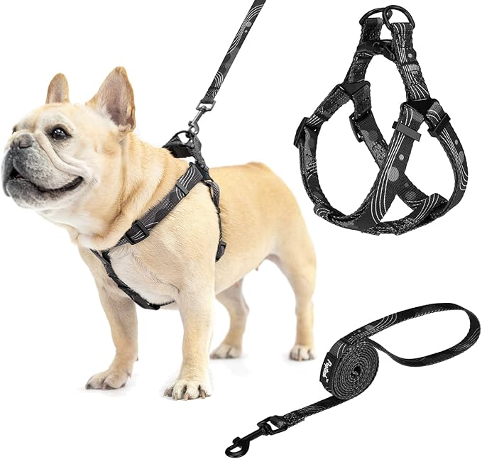 PUPTECK No Pull Dog Harness Soft Adjustable Basic Nylon Step in Puppy Vest Outdoor Walking with Leash