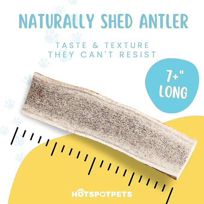 hotspot pets Premium Split Elk Antlers for Dogs - 7+ Inch Large Dog Antler Chews (4 Pack) Made in USA, Naturally Shed Antler Bone for Large Breed Aggressive Chewers - Promotes Dental Hygiene
