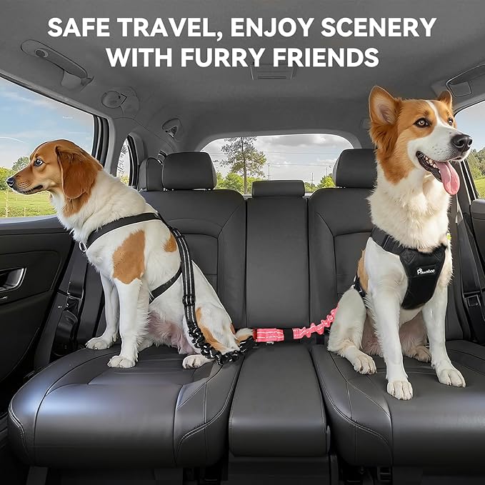 Pawaboo 2Pack Dog Seatbelt for Car, 3-in-1 Dog Car Seat Belt Bungee, Shockproof Dog Tether for Car with Buckle & Hook Latch, Adjustable Reflective Dog Harness Leash with 360° Lockable Buckle, Pink