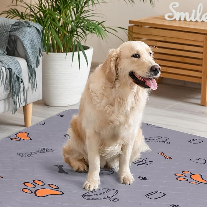 Washable Waterproof Pee Pads for Dogs - 2-Pack Small 18x24 Super Absorbent Reusable Training Pads, Non-Slip & Ideal for Puppies & Dog Playpen, Crate & Potty