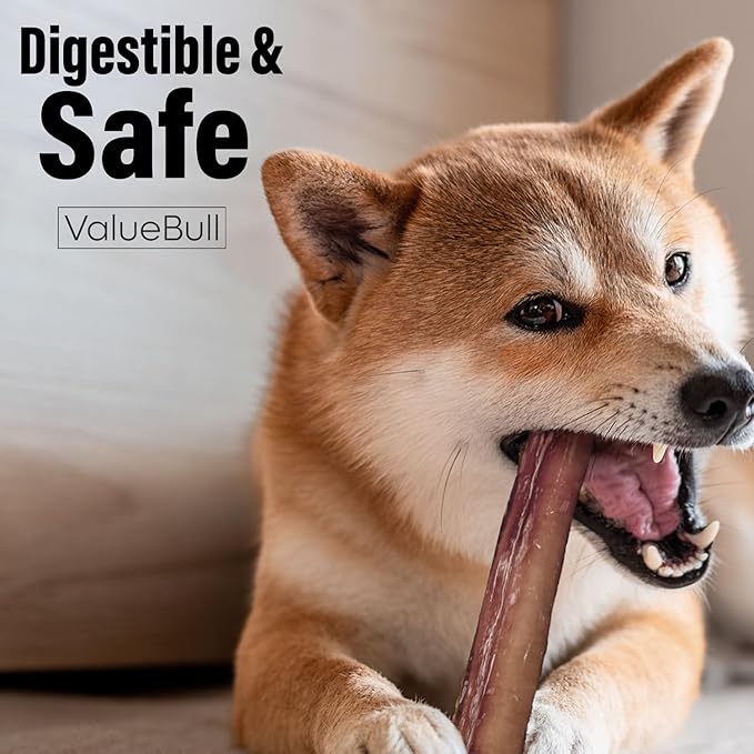 ValueBull Bully Sticks for Dogs, Medium 12 Inch, 25 Count - All Natural, Grass Fed, Single Ingredient, Long Lasting Dog Treats