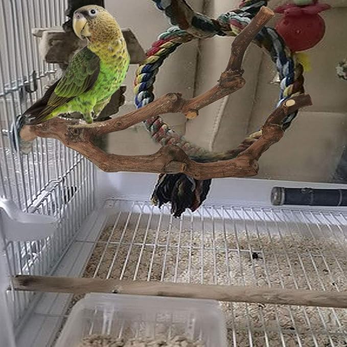 kathson Natural Parrot Perch Bird Stand Pole Wild Grape Stick Paw Grinding Fork Parakeet Climbing Standing Branches Toy Chewable Cage Accessories for Small Budgies Cockatiels Lovebirds