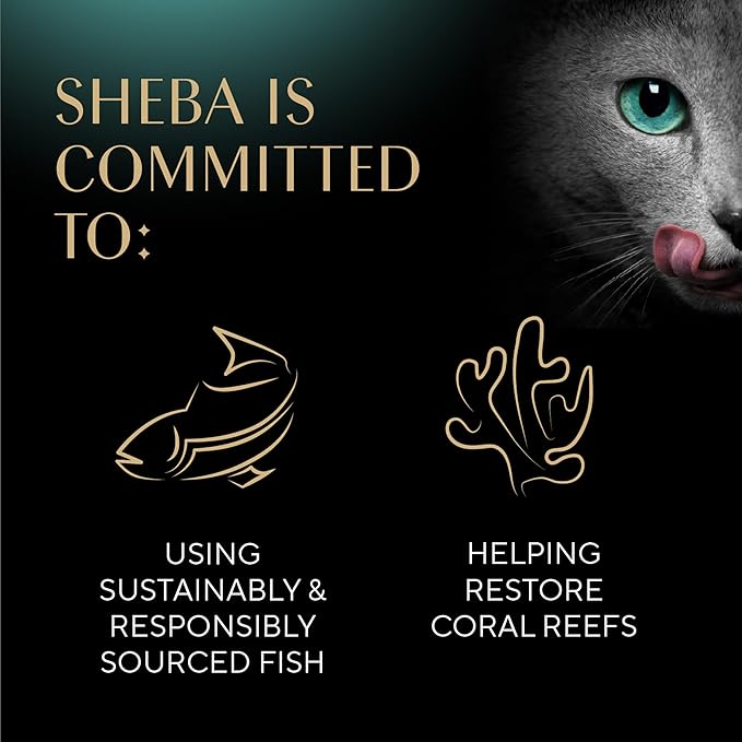 Sheba Perfect Portions Wet Cat Food Pate Savory Chicken Entree and Roasted Turkey Entree Variety Pack, 2.6 oz. Twin Pack Trays (12 Count, 24 Servings) (Pack of 2)