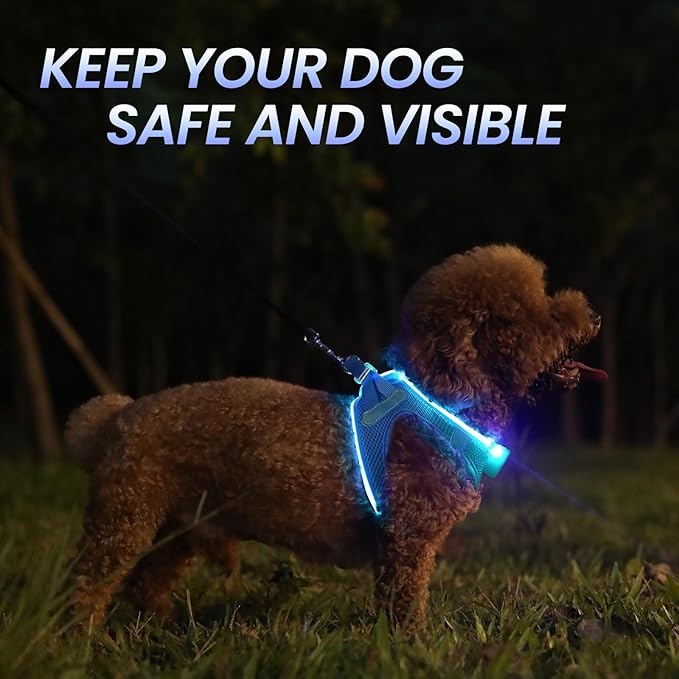 PceoTllar Light Up Dog Harness, LED No Pull Reflective Dog Harness, Flashing Lighted for Night Walking - Small/Medium, (Blue M)