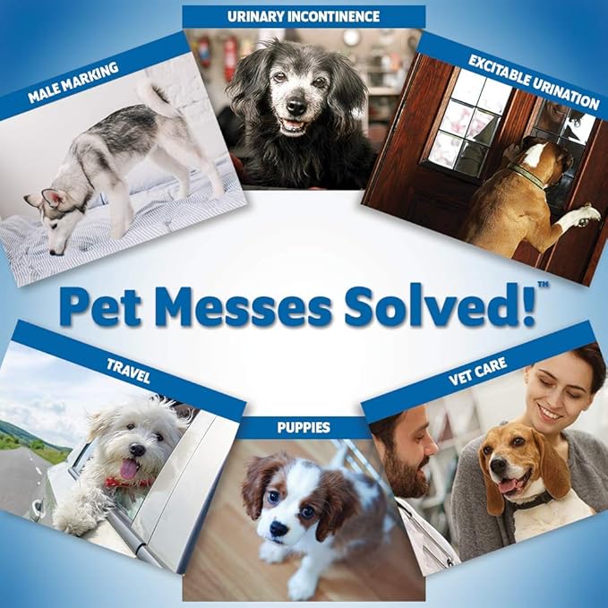 OUT! Pet Care Disposable Male Dog Diapers | Absorbent Male Wraps with Leak Proof Fit | XS/Small, 12 Count (Pack of 4)