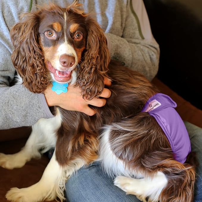 Pet Parents® Washable Dog Diapers (3pack) + Extendrs® of Durable Doggie Diapers, Premium Dog Diapers Female (Large, Princess)