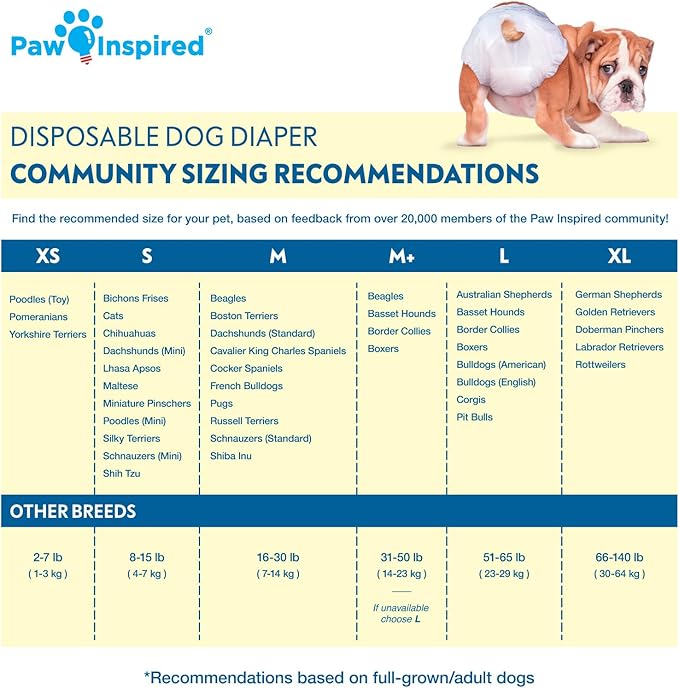 Paw Inspired Disposable Dog Diapers | Female Dog Diapers Ultra Protection | Diapers for Dogs in Heat, Excitable Urination, or Incontinence (144 Count, Medium)