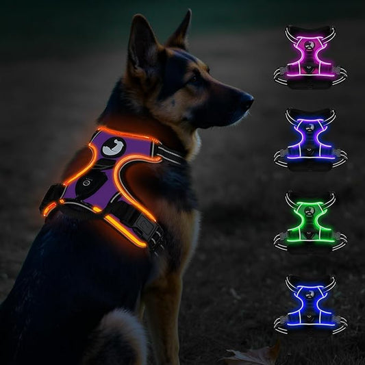 Taglory Light Up Dog Harness, Rechargeable No Pull Dog Vest with 3 Lightning Modes, Reflective Dog Harness with 2 Leash Clips & 4 Adjustable Slide Strips for Large Dogs, Purple-Orange, XL