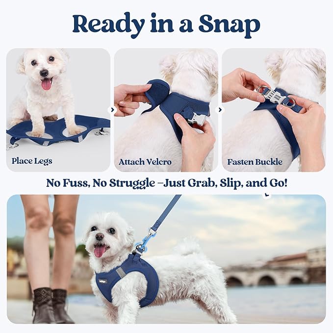 rabbitgoo Dog Harness Small Sized and Leash Set, Step in Soft Light Puppy Vest, Breathable Mesh Pet Harness, Reflective for Outdoor Safe Walking, Navy Blue XL