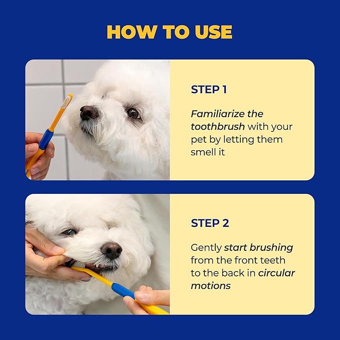 PETHROOM] Pet Toothbrush | Dogs and Cats Teeth Brushing Cleaning Tooth Care | Soft Bristle Cleaning Toothbrush for Dog Puppy Cat, Removing Old Plaque and Tartar (Medium)