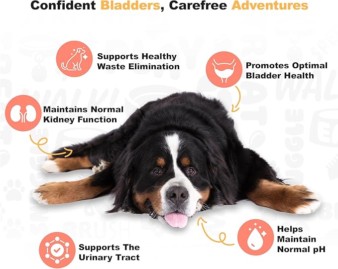 Doggie Dailies Cranberry Supplement for Dogs - Urinary Tract, Bladder & Kidney Support for Dogs - Cranberry for dogs with Marshmallow Root, Licorice Root & Apple Cider Vinegar (Chicken) 225 Soft Chews