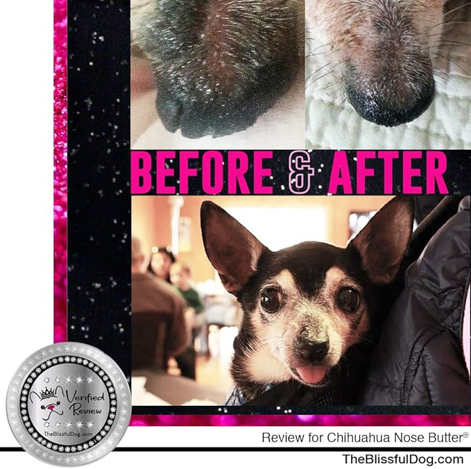 The Blissful Dog Long Coat Chihuahua Nose Butter for Dry, Cracked Skin, Lick-Safe Dog Nose Balm with Moisturizing Shea Butter, Almond, Olive, and Essential Oils, Pet Supplies, Uncented, 4 oz.