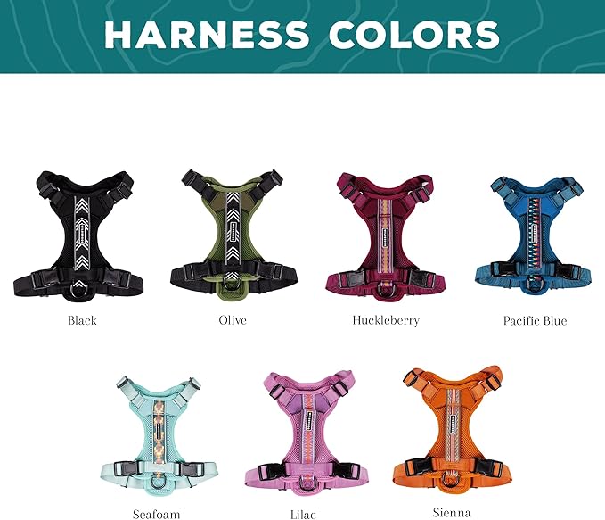 Wilderdog Lightweight Dog Harness with Reflective Straps - Small - Seafoam