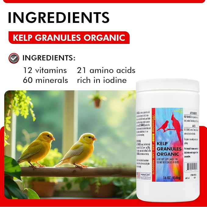 Morning Bird Kelp Granules 16 Oz – Iodine Supplement for Birds – Supports Feather Growth, Molting & Metabolism – Rich in Amino Acids, Trace Minerals & Natural Vitamins – Clean Nutrition for All Birds
