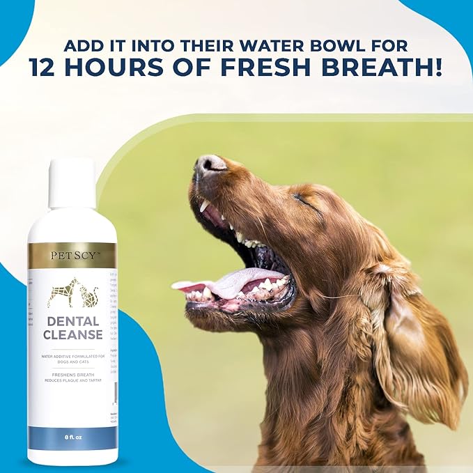 Petscy - Dental Cleanse, All-Natural Cat & Dog Tartar Remover for Teeth, Cat & Dog Water Additive for Dental Care, Suitable for All Ages, Breeds & Sizes, 8 Oz