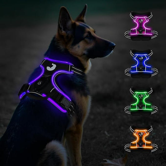 Taglory Light Up Dog Harness, Rechargeable No Pull Dog Vest with 3 Lightning Modes, Reflective Dog Harness with 2 Leash Clips & 4 Adjustable Slide Strips for Large Dogs, Black-Purple, XL