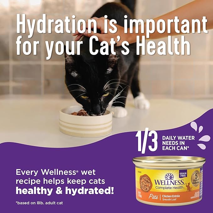 Wellness Complete Health Gravy Adult Wet Cat Food, Natural, Protein-Rich, Grain Free, 3 Ounce, 12 Pack, (Salmon Entree)