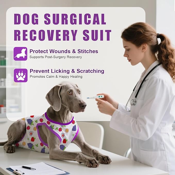 Recovery Suit for Dogs After Surgery, Professional Dog Surgical Suit for Female Spay, Male Neuter, E-Collar & Cone Alternative Dog Onesie for Abdominal Wounds Skin Disease, Purple, XL