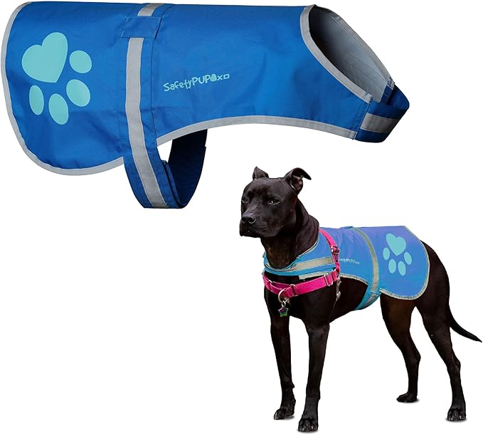 Dog Reflective Vest – Hi-Vis Fluorescent Visibility That Helps to Safeguard Your Pet On/Off Leash in Urban & Rural Areas (Blue, Small)