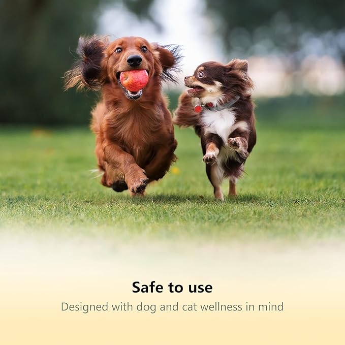 Professional-Grade Nail Clippers for Dogs Nail Trimmer with Safety Guard and Nail File - Nail Clippers for Large Dogs - Dog Nail Clipper Toenail Clippers (Green, Medium-Large (LED))