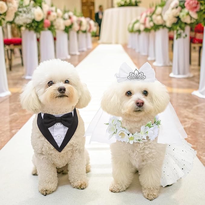 SCENEREAL Dog Bandanas Dress Set for Small Dogs, Dogs Wedding Outfit with Flower Collar Veil, Puppy Party Supplies Pet Tutu Skirt Costume