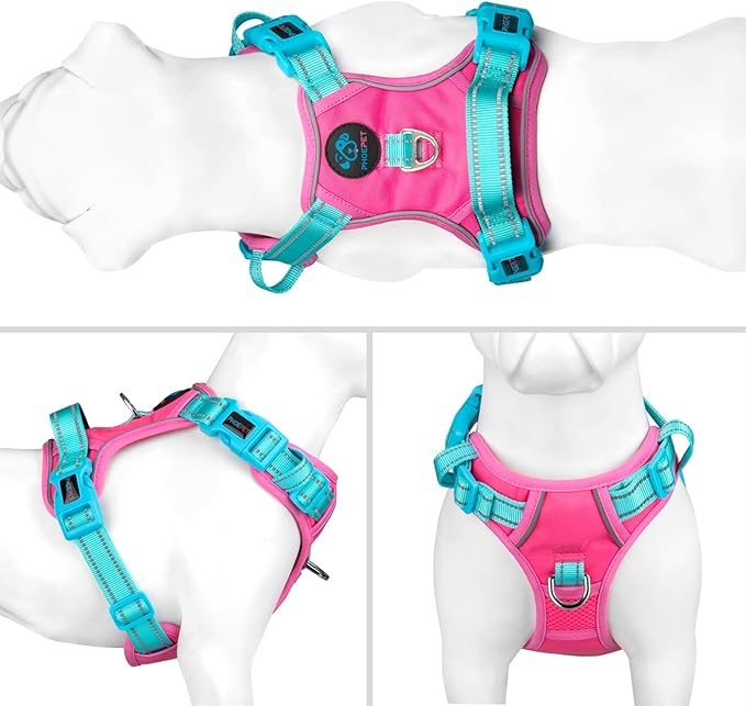 PHOEPET No Pull Dog Harness, Unique Colors Reflective Adjustable Dog Vest, with Soft Training Handle Metal Clips for Small Medium Large Dogs (Pink Base & Green Straps,M)