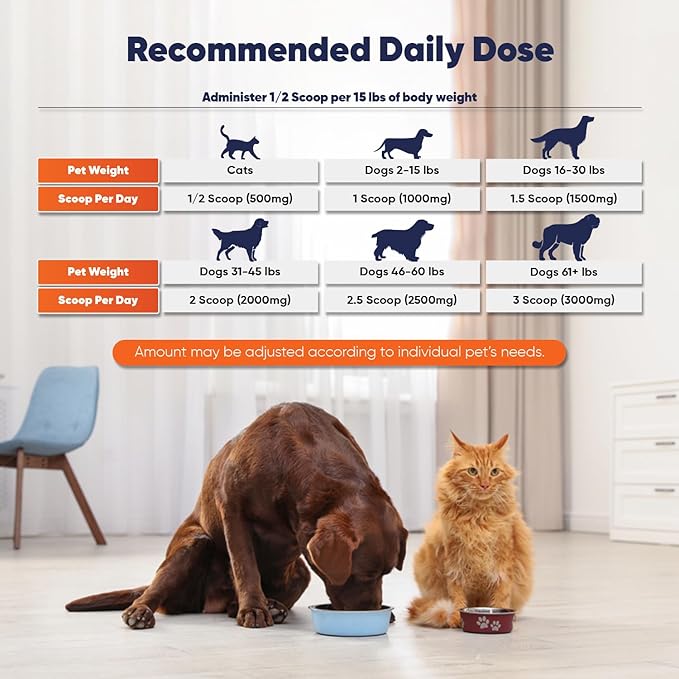 Vitamatic Bovine Colostrum for Dogs and Cats, 90 Grams, 30% Immunoglobulins, Grass Fed