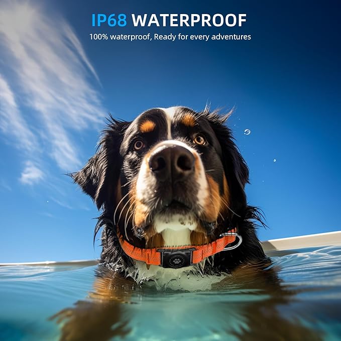 Upgraded AirTag Dog Collar, IP68 Waterproof Air Tag Dog Collar Holder, Reflective, Ultra-Durable, Comfortable Padded, Heavy Duty Dog Collars for Small Medium Large Dogs (M (12.6"-17.1"), Orange)