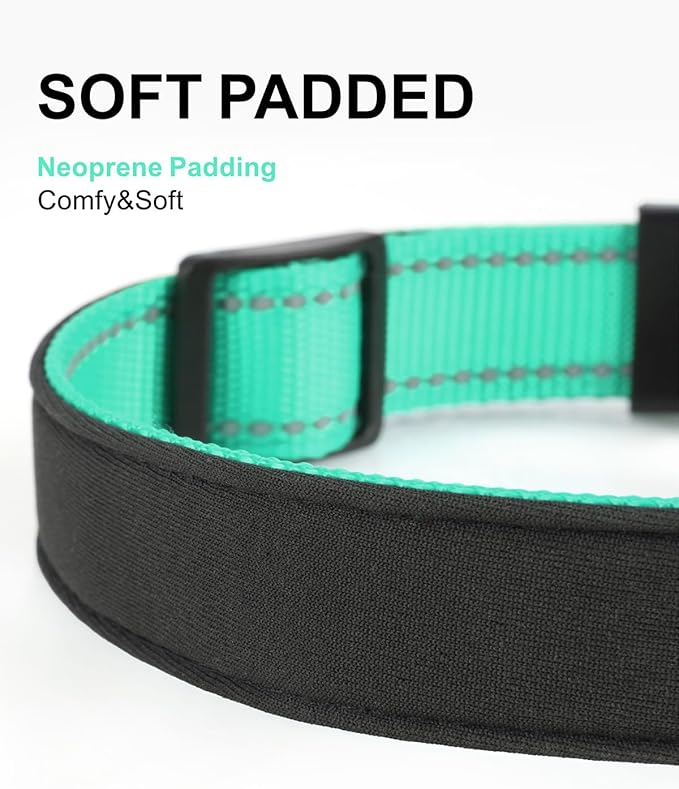 TagME Airtag Dog Collar,Waterproof Reflective Pet Collar with Airtag Holder,Soft Padded and Double D-Rings for Small Dogs,Turquoise