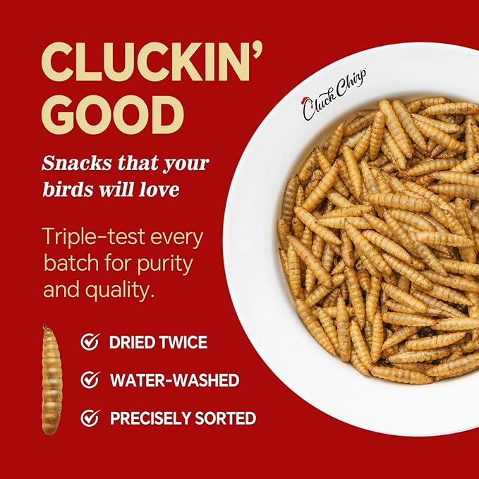 Dried Black Soldier Fly Larvae, Non-GMO, Natural Chicken Treats & High-Protein Poultry Snacks for Backyard Chickens, Laying Hens & Ducks, 10 lb Box