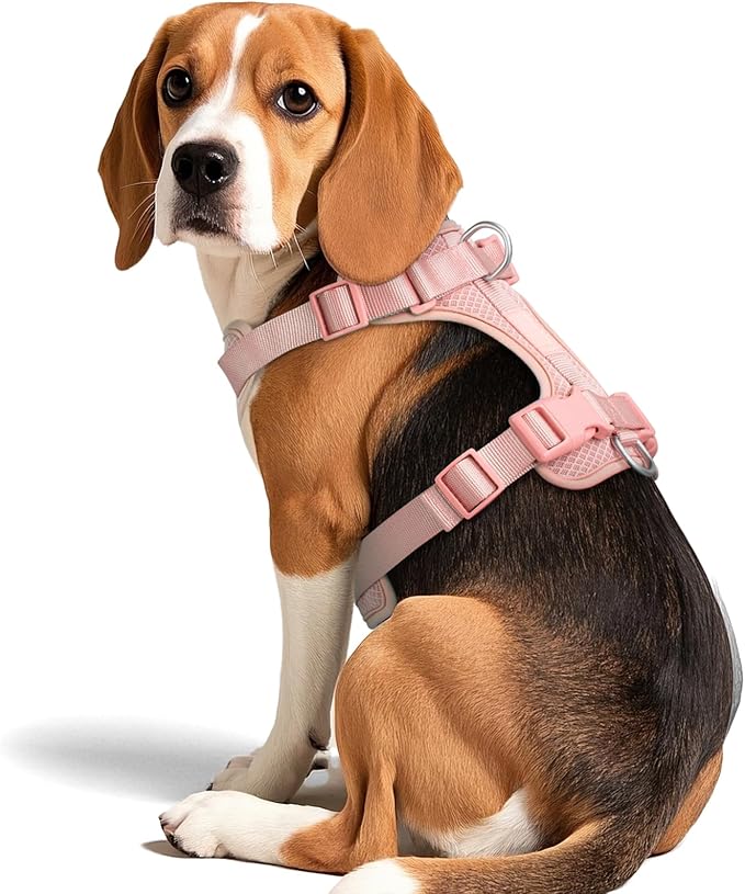 Wisedog Mesh Breathable Dog Harness: No Pull Harness with 3 Fast-Release Buckles Adjustable for Walking & Training for Small Medium Large Dogs (Pink, S: Neck=14"-19"/Chest=13"-24")