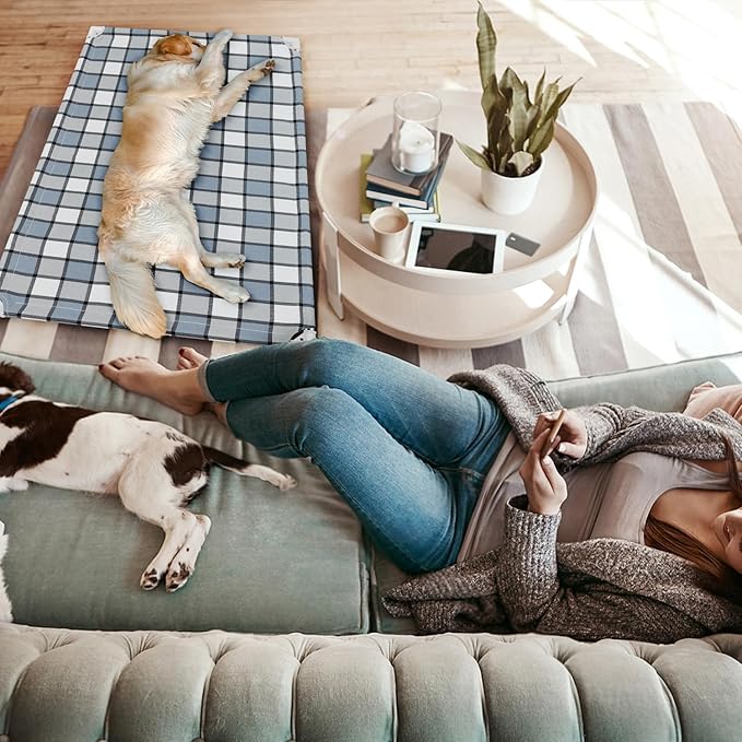 Elevated Outdoor Raised Dog Bed Outdoor Dogs Bed Lifted Pet Hammock Bed Dog Cot for Large Pet Taste Life, Start with A Pet Bed 39'' x 27'' x 6.5''