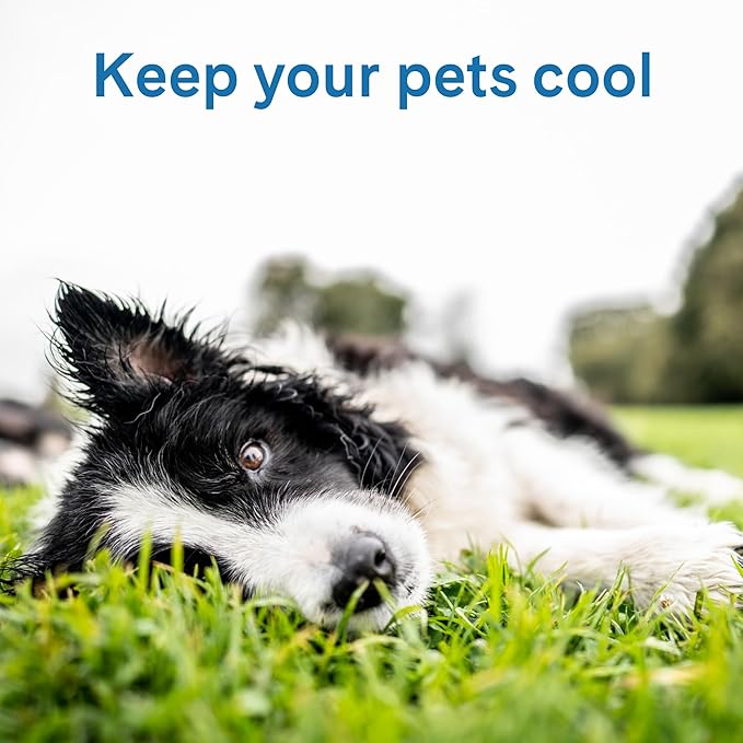 The Green Pet Shop Cool Pet Pad - Medium, Sage Grey - Self-Cooling, Pressure Activated Mat for Dogs & Cats from 21-45 lbs - Non-Toxic Gel, No Water Needed