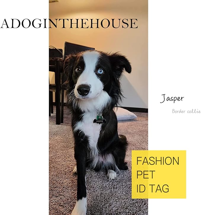 Premium 316 Surgical Grade Stainless Steel Personalized Dog & Cat ID Tags - Fun Shapes for Sporty Outdoor Pets - Custom Engraved Name & Info for Collar Accessories & Pet Necklaces Triangle