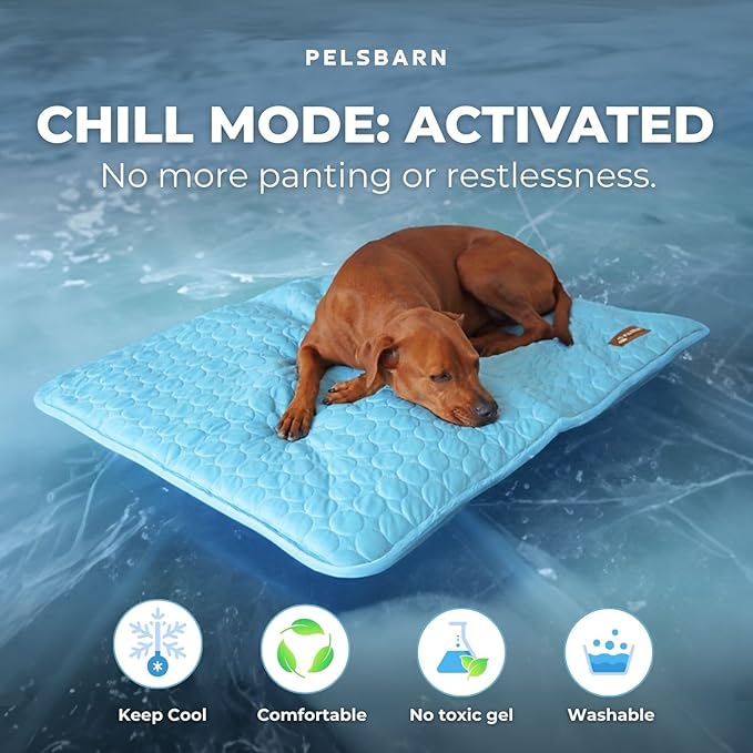 Dog Cooling Mat- Ice Silk Summer Comfort, Self Cooling, Non-Slip Dog Pad, Durable & Washable, Mat for Large Dogs 65x95 cm, Support Shelter Dogs with Every Purchase (Blue)