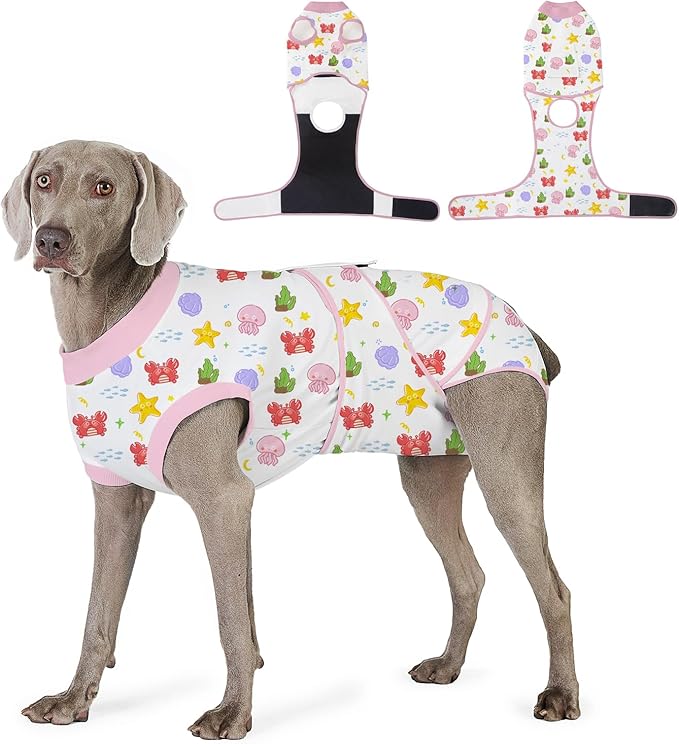 Recovery Suit for Dogs After Surgery, Professional Dog Surgical Suit for Female Spay, Male Neuter, E-Collar & Cone Alternative Dog Onesie for Abdominal Wounds Skin Disease, Jellyfish, M