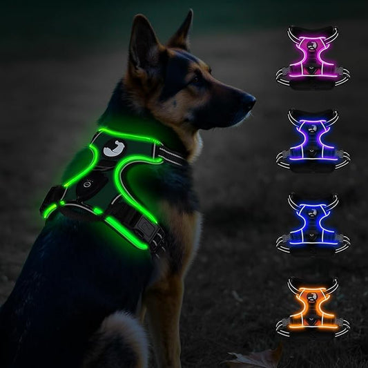 Taglory Light Up Dog Harness, Rechargeable No Pull Dog Vest with 3 Lightning Modes, Reflective Dog Harness with 2 Leash Clips & 4 Adjustable Slide Strips for Large Dogs, Turquoise-Green, XL