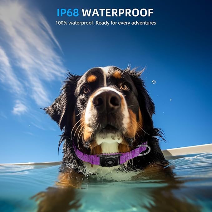 Upgraded AirTag Dog Collar, IP68 Waterproof Air Tag Dog Collar Holder, Reflective, Ultra-Durable, Comfortable Padded, Heavy Duty Dog Collars for Small Medium Large Dogs (M (12.6"-17.1"), Purple)