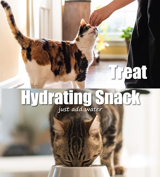 Whole Life Pet Just One Turkey - Cat Treat Or Topper - Human Grade, Freeze Dried, One Ingredient - Protein Rich, Grain Free, Made in The USA (Pack of 6)