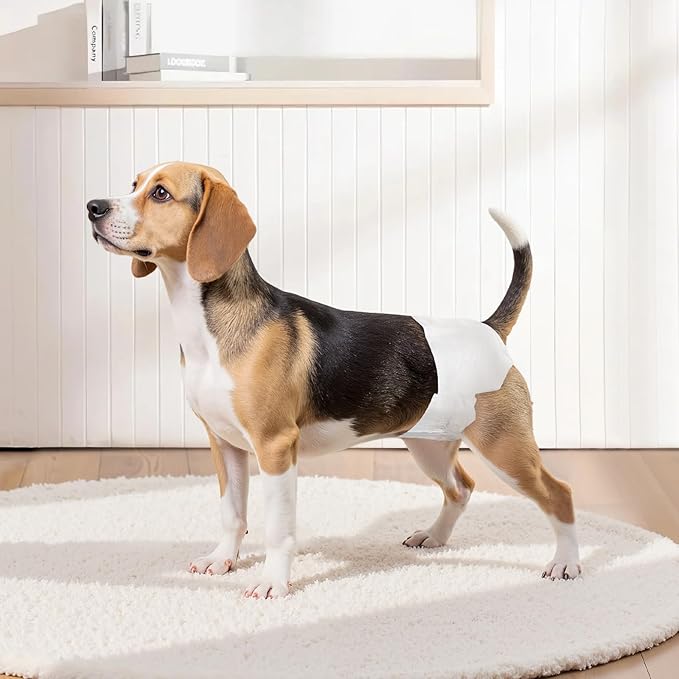 VEVOR Disposable Dog Diapers, Super Absorbent Female Dog Diapers, 360° Leak-Proof Female Doggy Pet Diaper with Wetness Indicator for Heat Period, Training, Incontinence - M, 144 Count (2 Packs of 72)