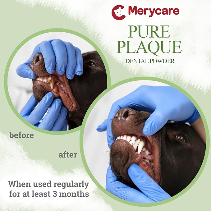 Pure Plaque Off Vet-Approved Dental Powder for Dogs & Cats | 100% Natural Teeth Cleaner with Seaweed | Plaque & Tartar Remover | Freshens Breath | No Brushing Needed (50g)