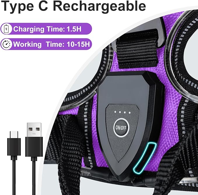 Taglory Light Up Dog Harness, Rechargeable No Pull Dog Vest with 3 Lightning Modes, Reflective Dog Harness with 2 Leash Clips & 4 Adjustable Slide Strips for Small Dogs, Purple-Orange, S