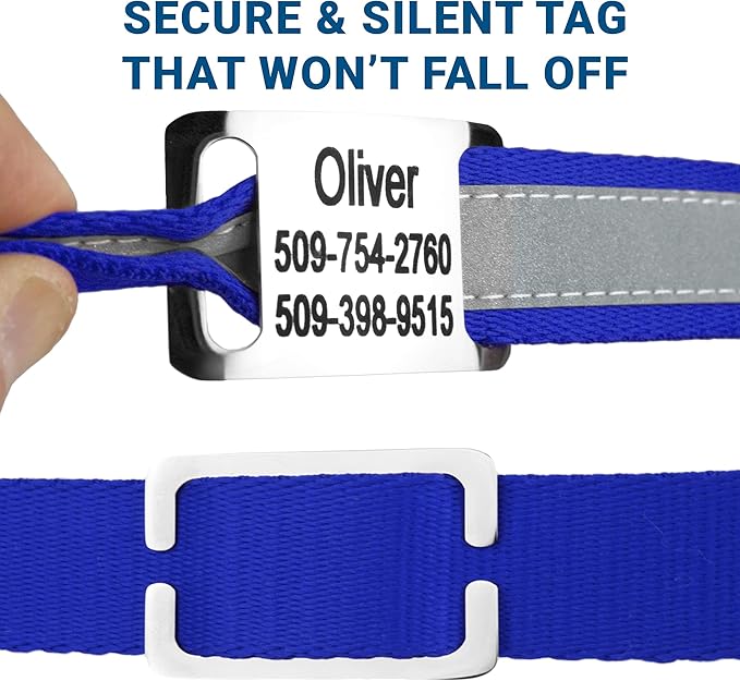 GoTags Reflective Personalized Dog Collar with Nameplate, Adjustable Dog Collar with Custom Engraved Steel Slide On Pet ID Tag, Silent, No Noise Dog Tag for Large Medium or Small (Blue, Medium)