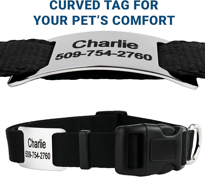 GoTags Reflective Personalized Dog Collar with Nameplate, Adjustable Dog Collar with Custom Engraved Steel Slide On Pet ID Tag, Silent, No Noise Dog Tag for Large Medium or Small (Light Gray, Small)