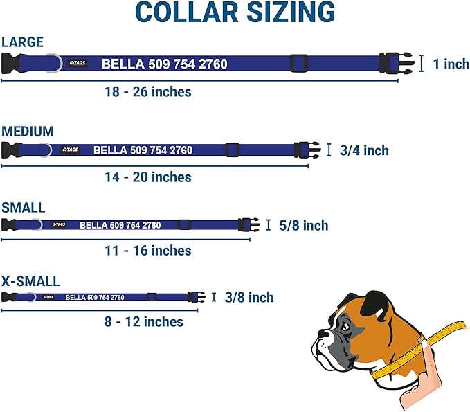 GoTags Personalized Dog Collar with Nameplate, Adjustable Dog Collar with Custom Engraved Slide On Pet ID Tag in Stainless Steel, Silent, No Noise Dog Tag for Large Medium and Small (Blue, Large)