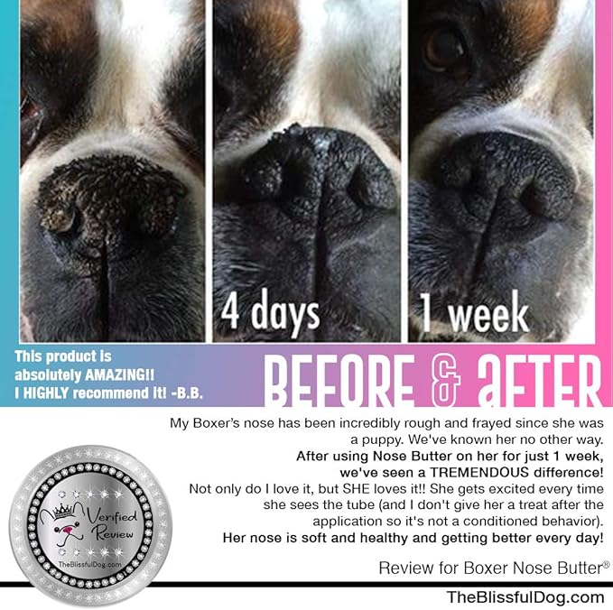 The Blissful Dog White Boxer Nose Butter for Dry, Cracked Skin, Lick-Safe Dog Nose Balm with Moisturizing Shea Butter, Almond, Olive, and Essential Oils, Pet Supplies, Uncented, 8 oz.