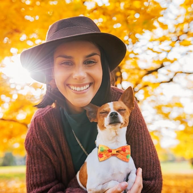Hillban 50 Pcs Fall Collar Dog Bow Ties Maple Leaves Dogs Collar Accessories Pets Bow Ties Attachment with Elastic Bands Detachable Charms for Doggie Fall Autumn Costume