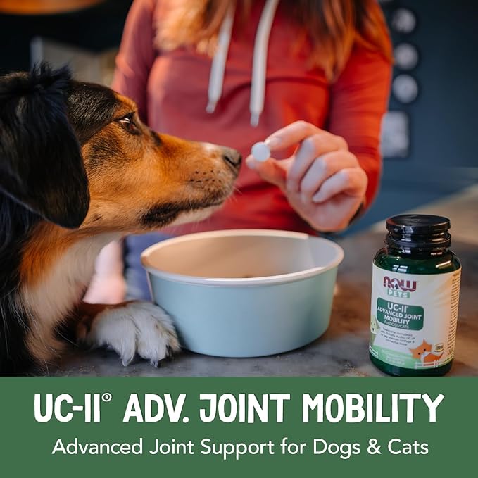 NOW Foods® Pets, UC-II® Advanced Joint Mobility for Dogs and Cats, Veterinarian formulated, Help Maintain Cartilage and Connective Tissue*, 60 Chewable Tablets (60 Grams)