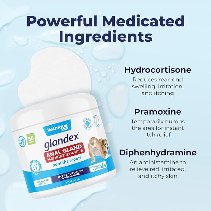 Vetnique Glandex Medicated Dog Butt Wipes or Spray for Dog Scooting - Topical Anti Itch Skin Relief for Soothing Inflamed Anal Glands in Dogs & Cats - Fast Acting Formula 50ct (50ct Wipes)